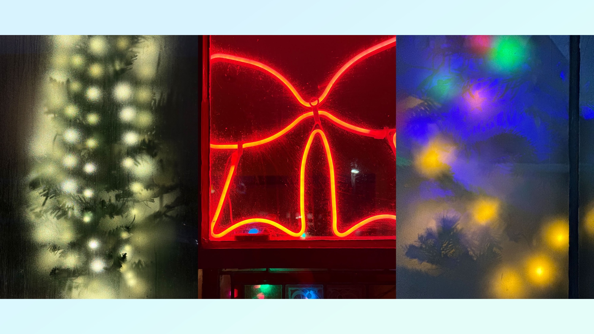 Trois photos montrant les modes macro et portrait