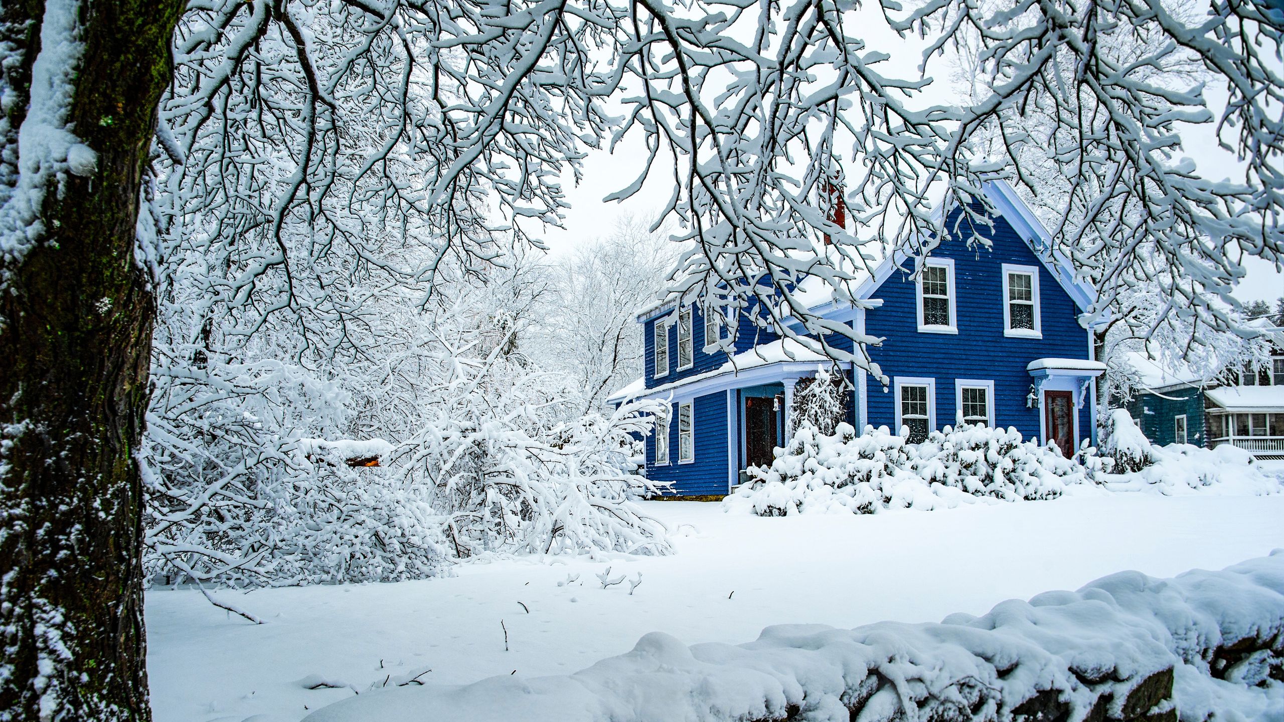 Liste de contrôle pour la tempête hivernale « Fern » : 5 choses que vous devez avoir à portée de main lorsque la neige et la glace frappent image-34629