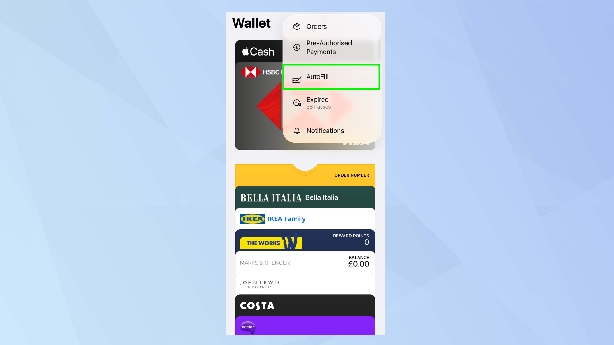 Comment gagner du temps en remplissant automatiquement les détails de votre carte de paiement dans iOS 26