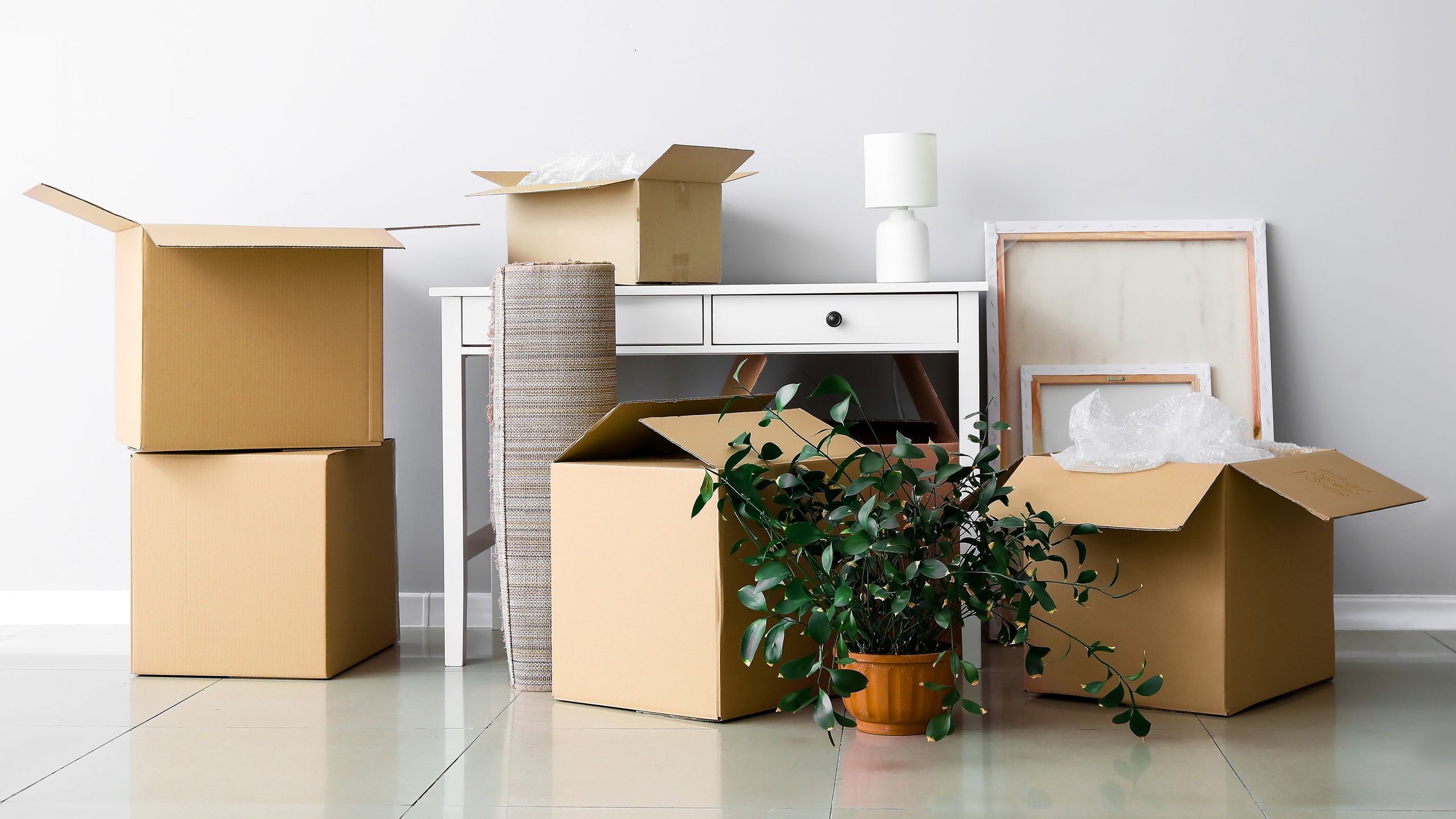 Ma mère m'a appris cette astuce de nettoyage de printemps « échange de stockage » – voici comment cela a changé ma maison image-35498