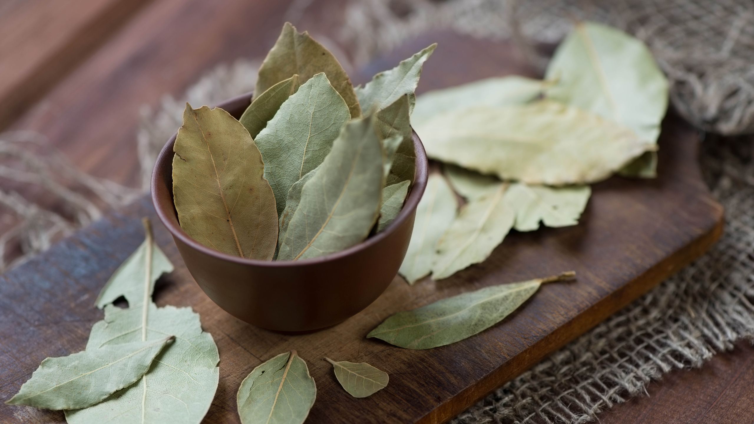 Ce « bouclier aux herbes » à 2 $ empêche les cafards d'entrer dans votre maison image-35717