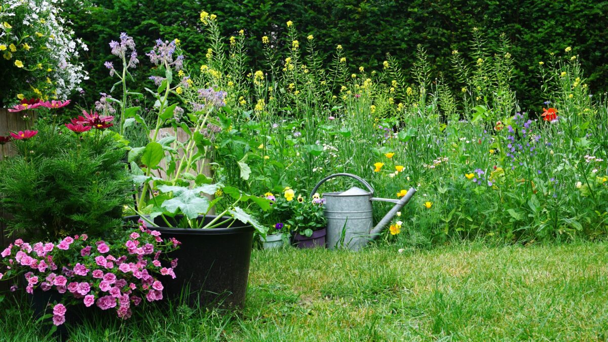 Je viens d'essayer la tendance du « jardinage du chaos » – et je pense avoir trouvé ma nouvelle façon préférée de planter des graines. image-35835