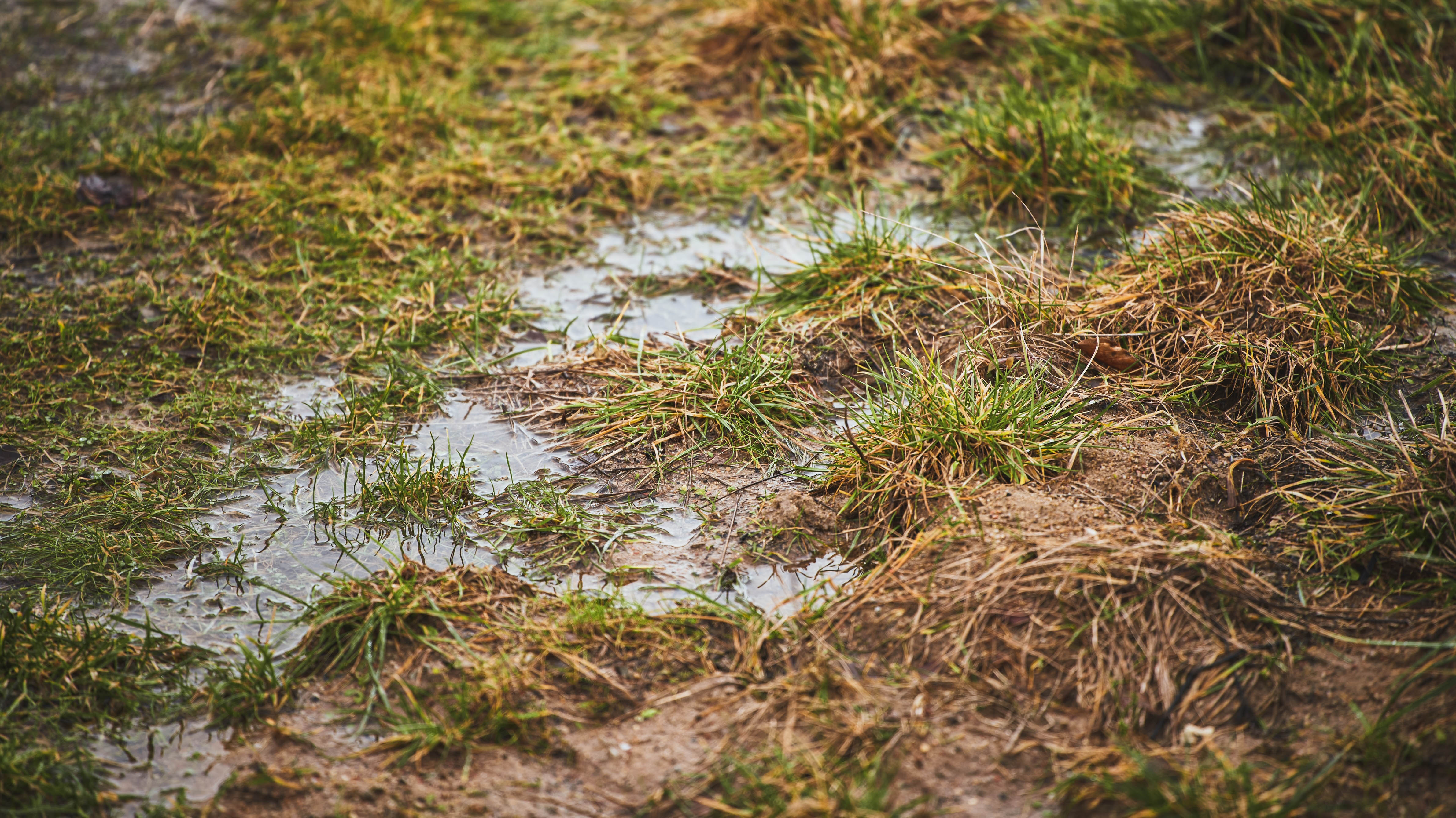 L'eau reste à la surface du sol, incapable de s'écouler