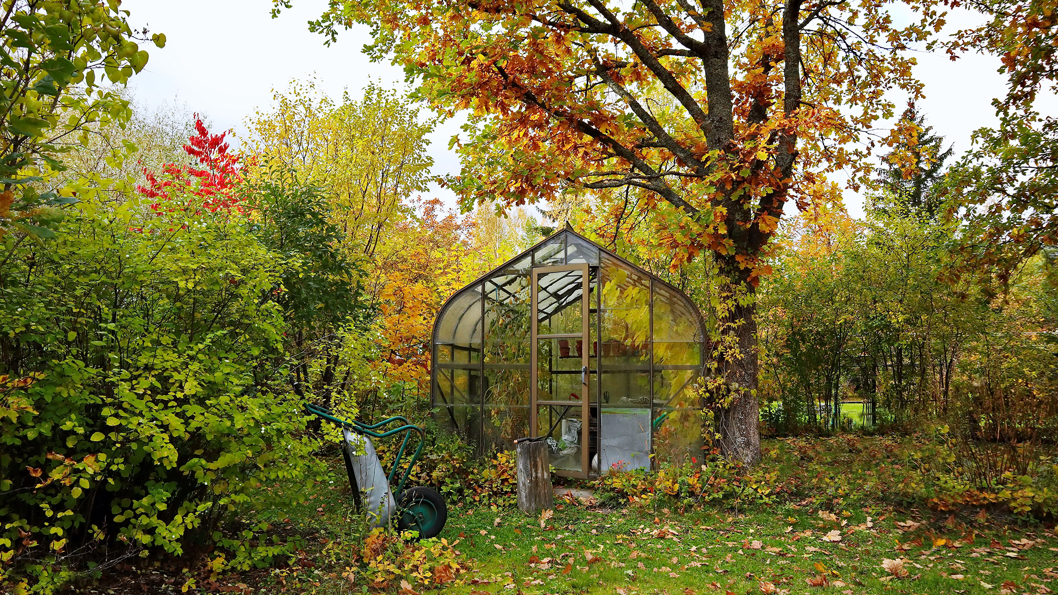 Tâches de jardinage à faire en octobre