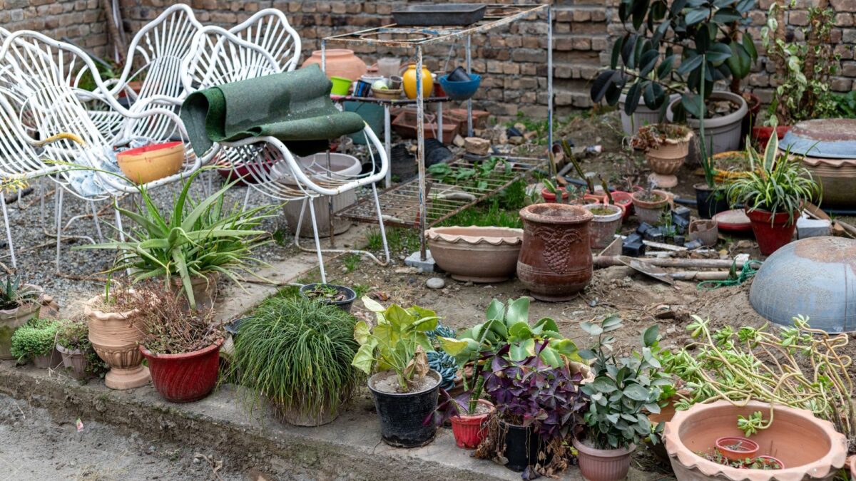 5 choses qui rendent votre jardin en désordre – et comment y remédier rapidement image-35966