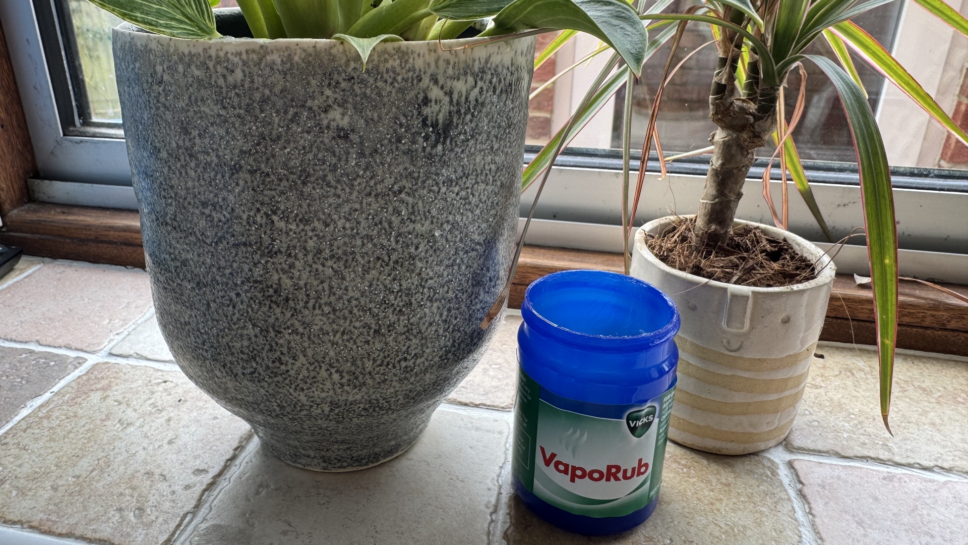 Astuce pour les plantes nuisibles VapoRub