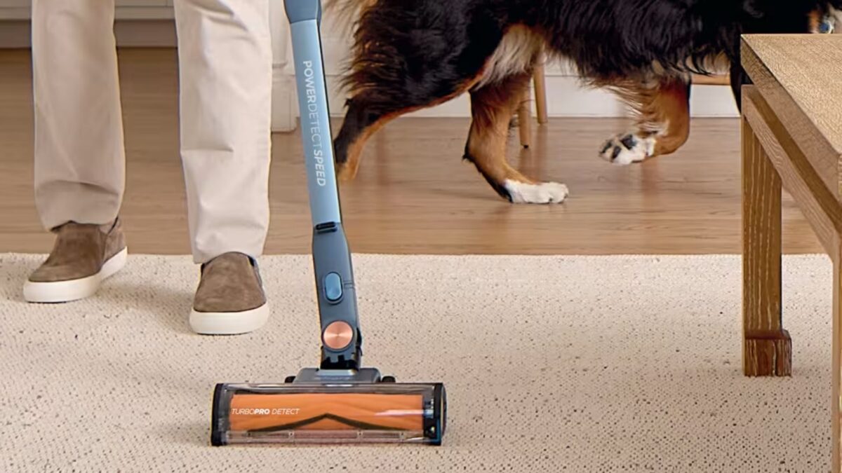 Shark vient de lancer un aspirateur combinant deux de ses plus grandes fonctionnalités – et j'ai hâte de l'essayer image-36079
