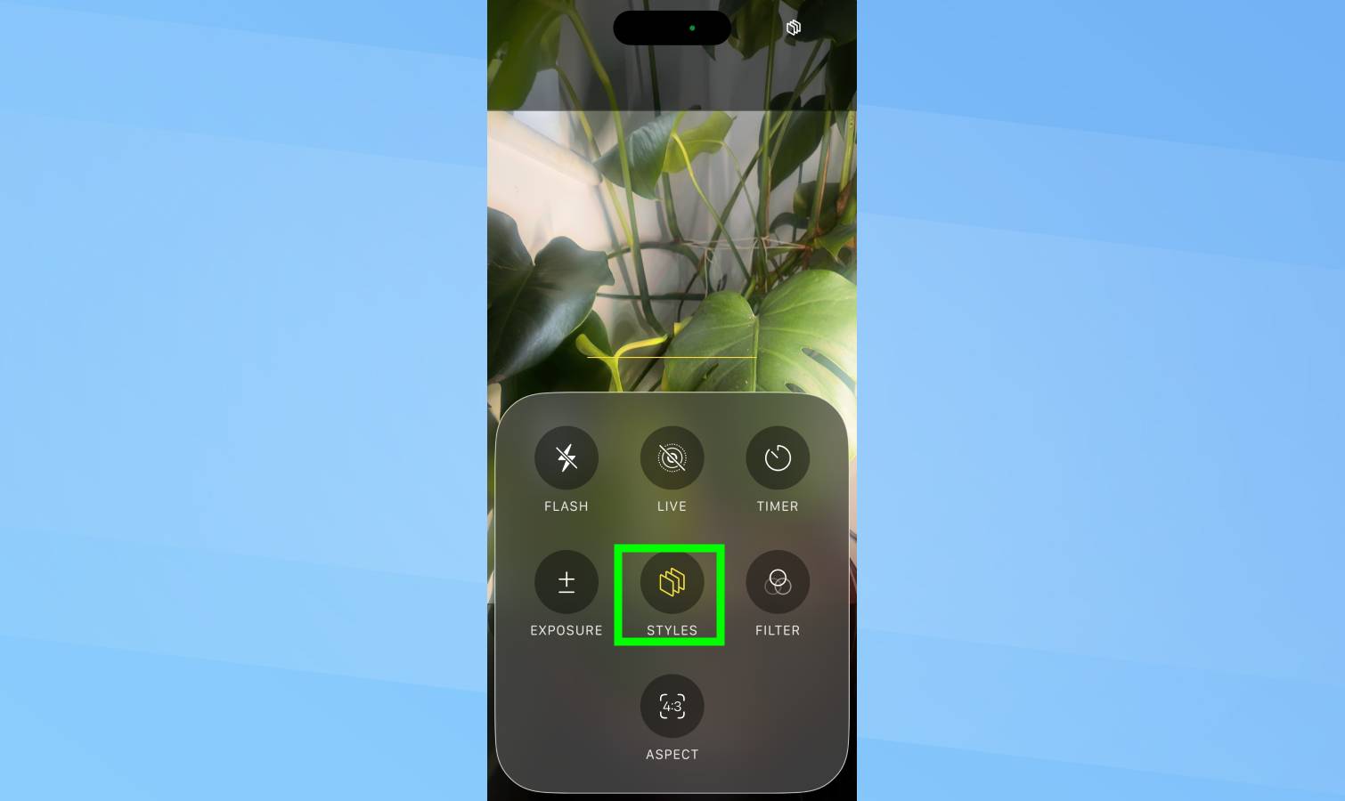 Styles mis en évidence dans l'appareil photo de l'iPhone