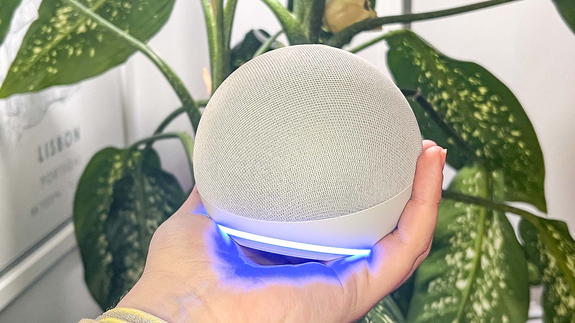 Amazon Echo Dot (5e génération)