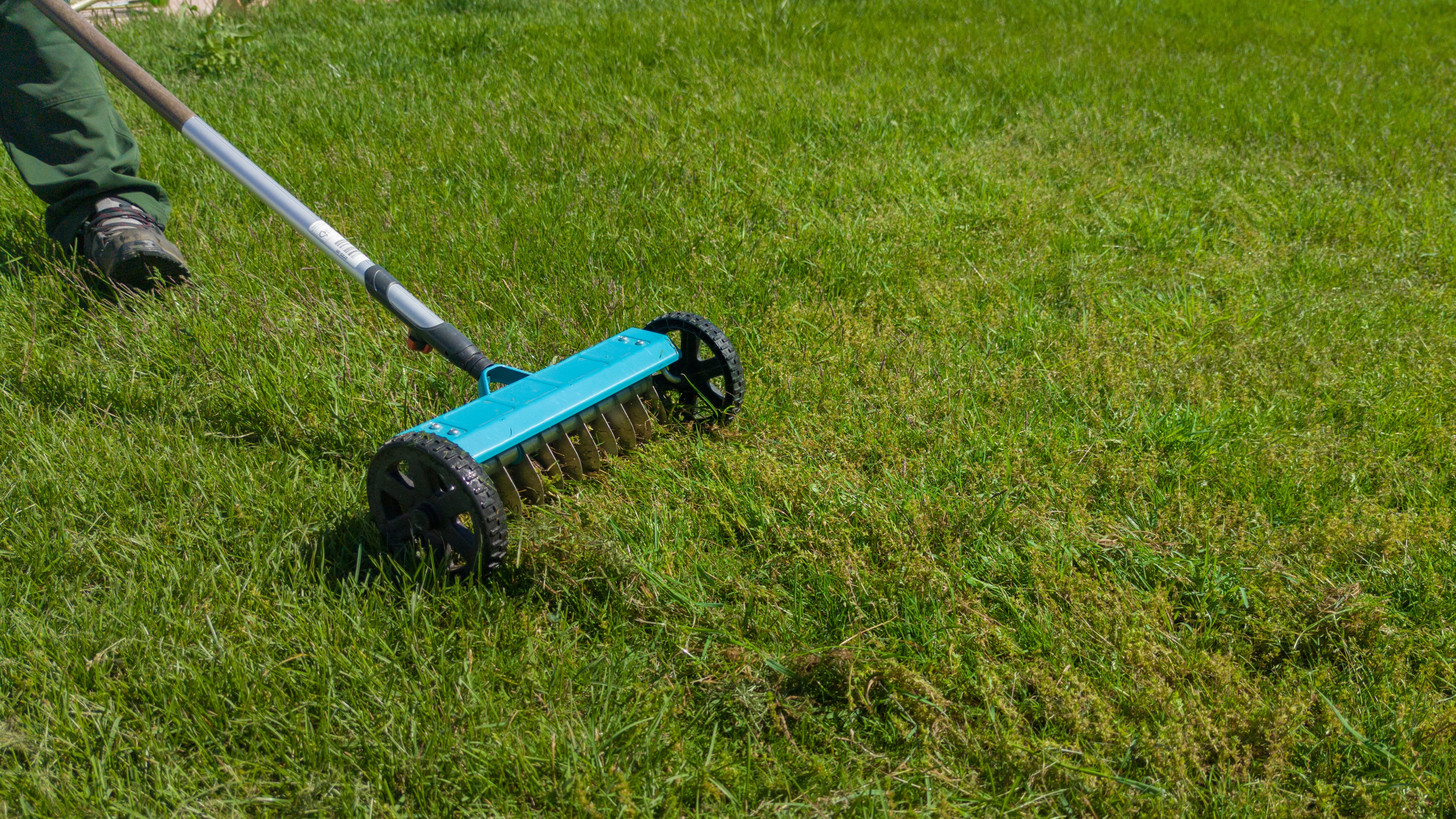 Scarifier une pelouse