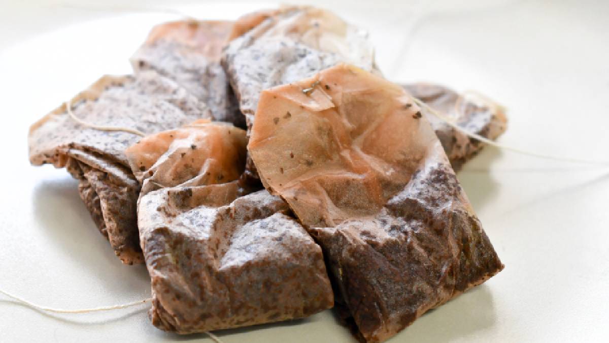 Sachets de thé utilisés sur une petite assiette blanche