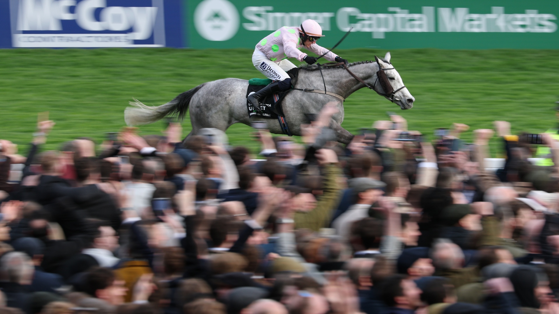 Comment regarder le Kentucky Derby 2026 : diffusion en direct des ...