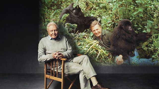 Comment regarder « Faire la vie sur Terre : la plus grande aventure d'Attenborough » en ligne depuis n'importe où image-36309