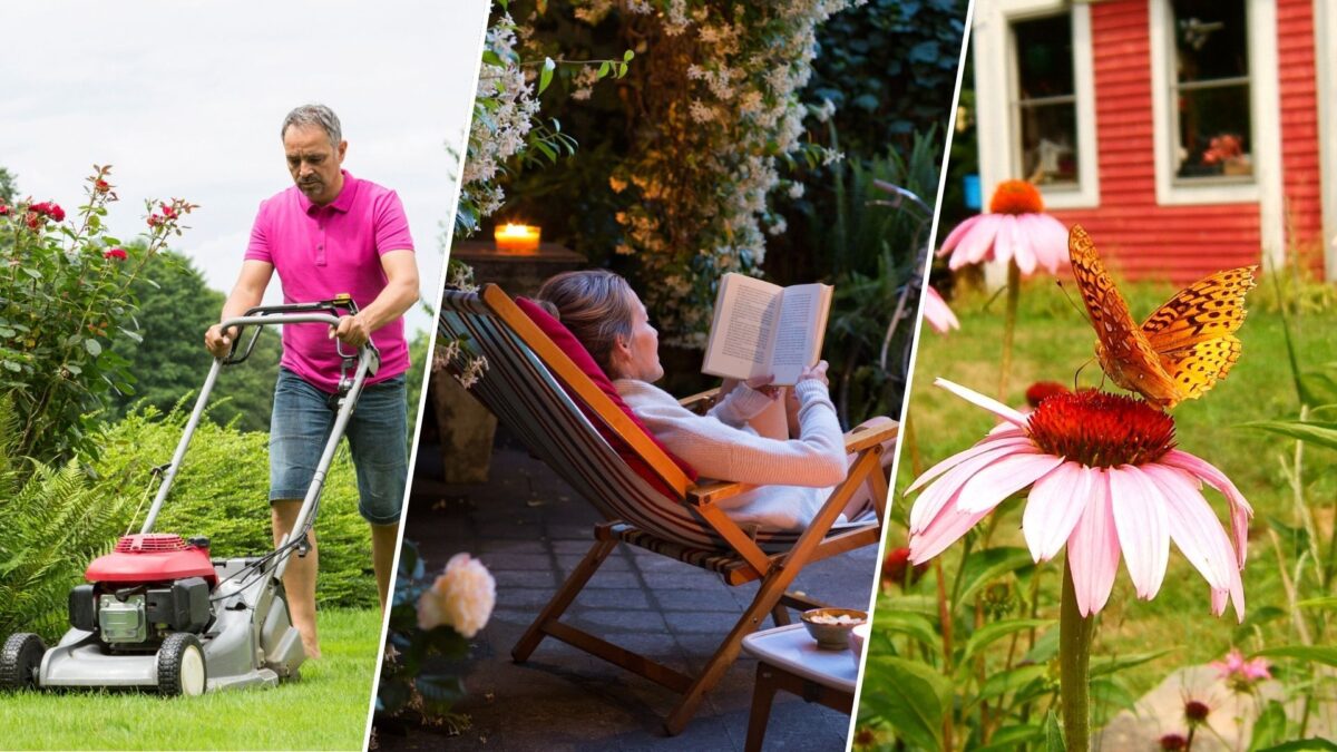 Exclusif : demandez n'importe quoi à nos experts en jardinage ! Nous organisons une séance de questions-réponses en direct sur l'entretien des pelouses et le jardinage et répondons aux questions. image-36427