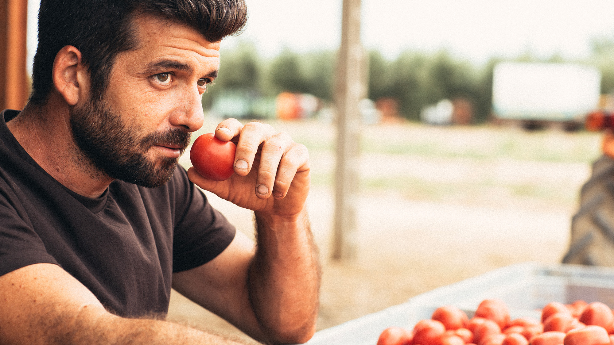 Paolo Tombini, Cirio Farmer, basé à Tarquinia, Viterbe, Latium, Italie centrale
