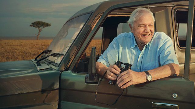 Comment regarder « Les 100 ans de David Attenborough sur la planète Terre » en ligne depuis n'importe où – diffusez en direct l'émission spéciale du centenaire de la BBC image-36337