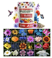 Graines de fleurs sauvages cultivées à la maison Graines de fleurs sauvages cultivées à la maison