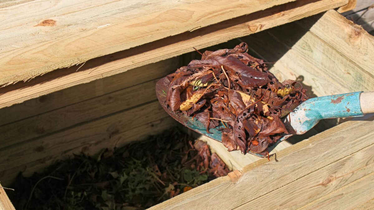 Les jardiniers sont invités à utiliser dans leur compost les déchets de cuisine négligés – et ce ne sont pas des coquilles d'œufs. image-36616