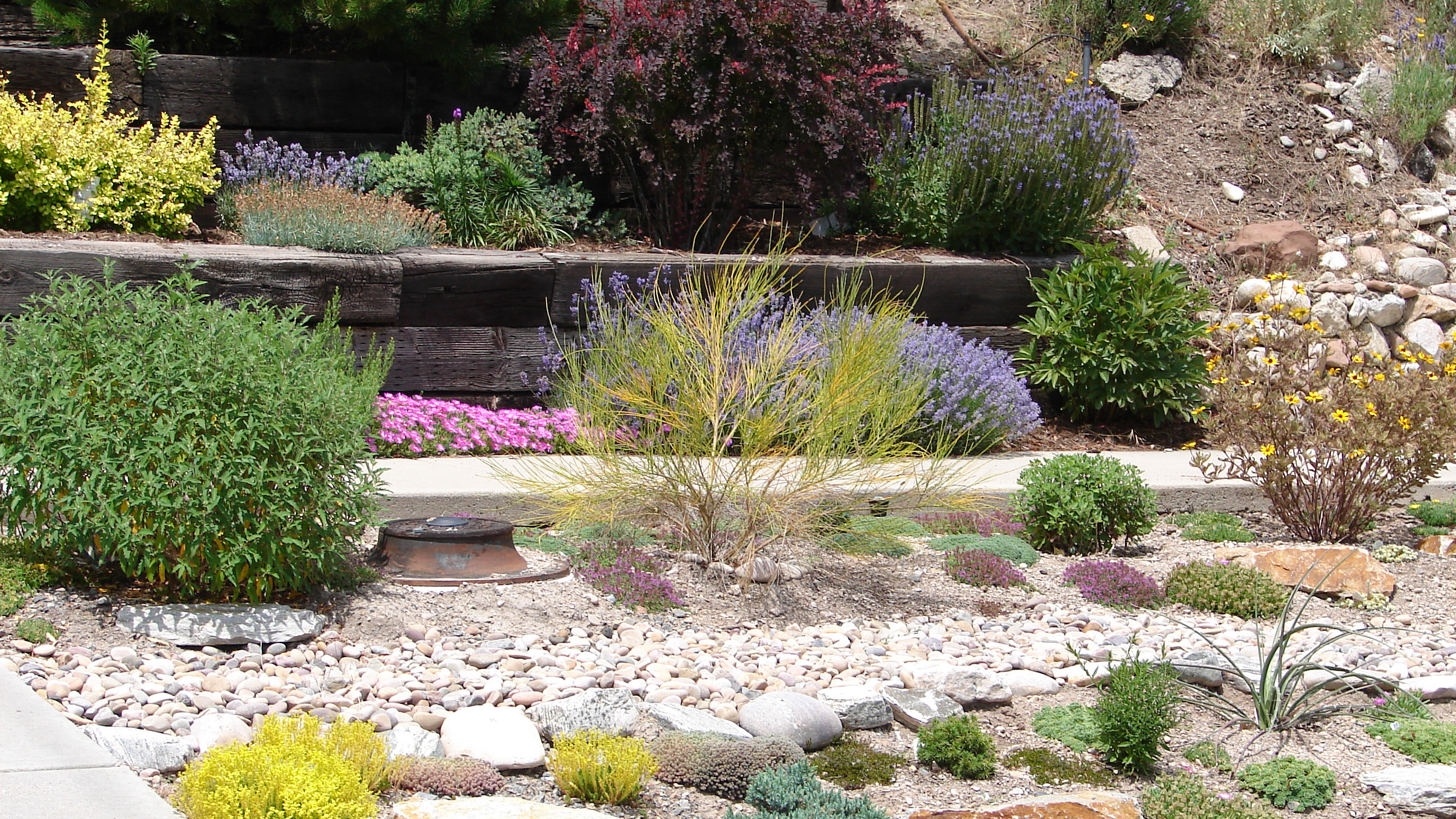 Jardin xériscapé