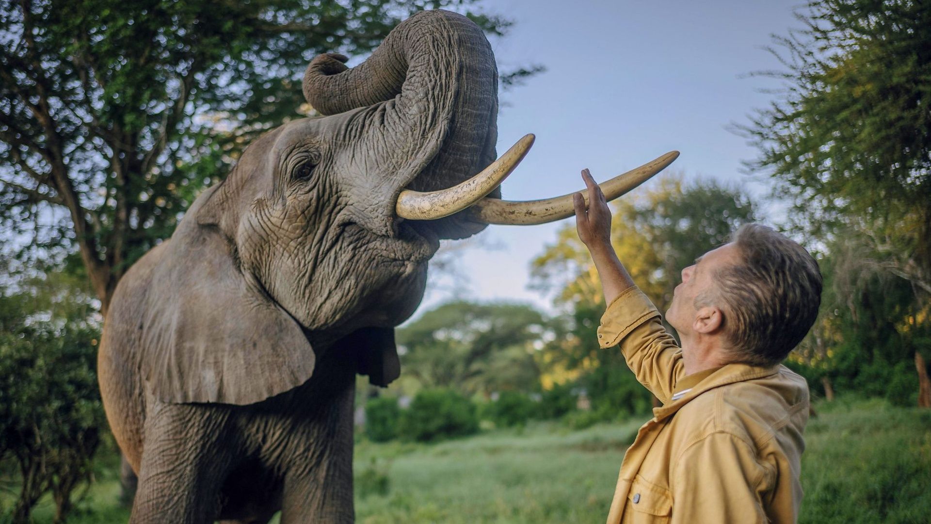 Comment regarder « Evolution » GRATUITEMENT – diffusez les docu-séries de Chris Packham de n'importe où image-37011