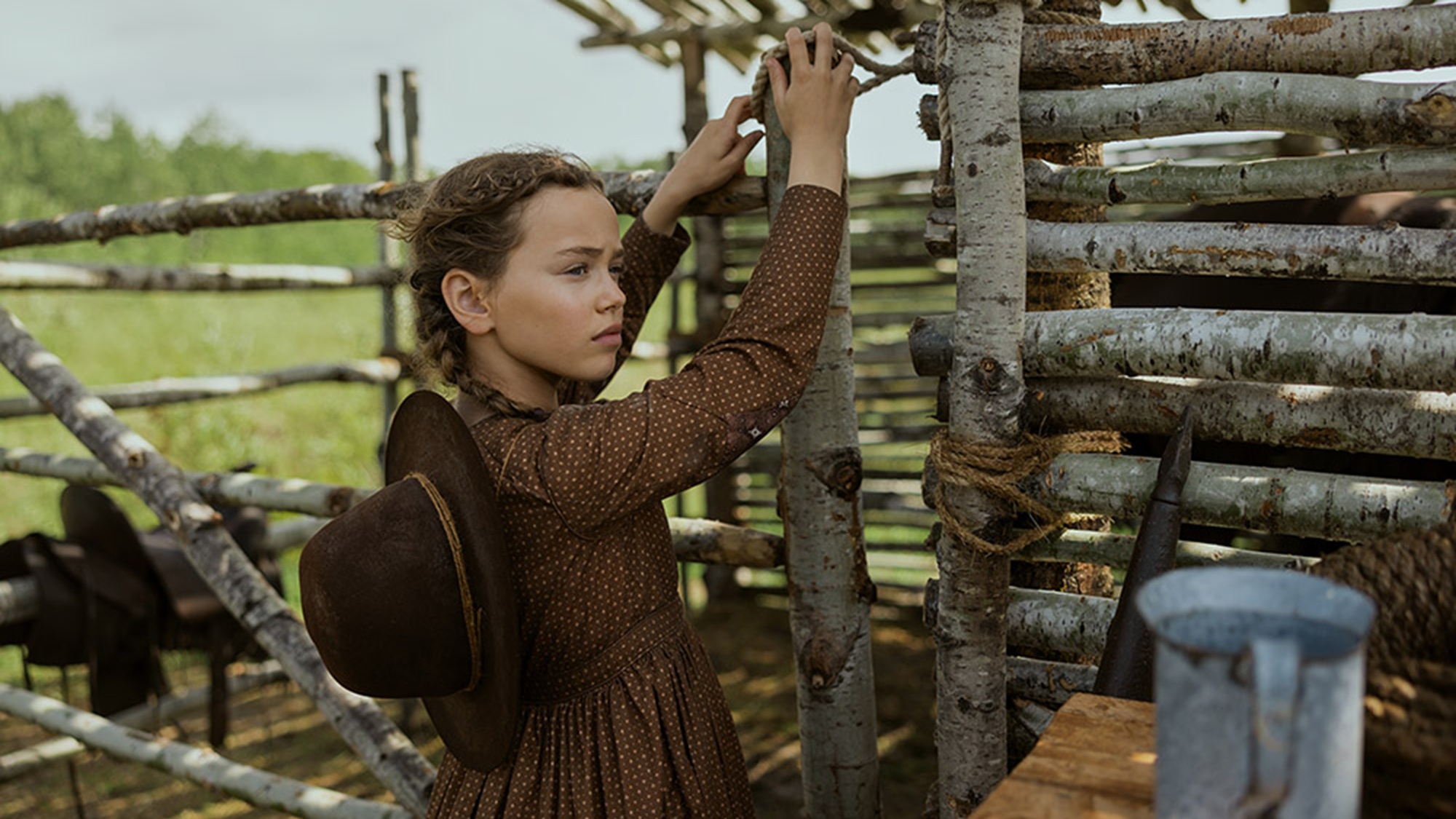 La petite maison dans la prairie sur Netflix