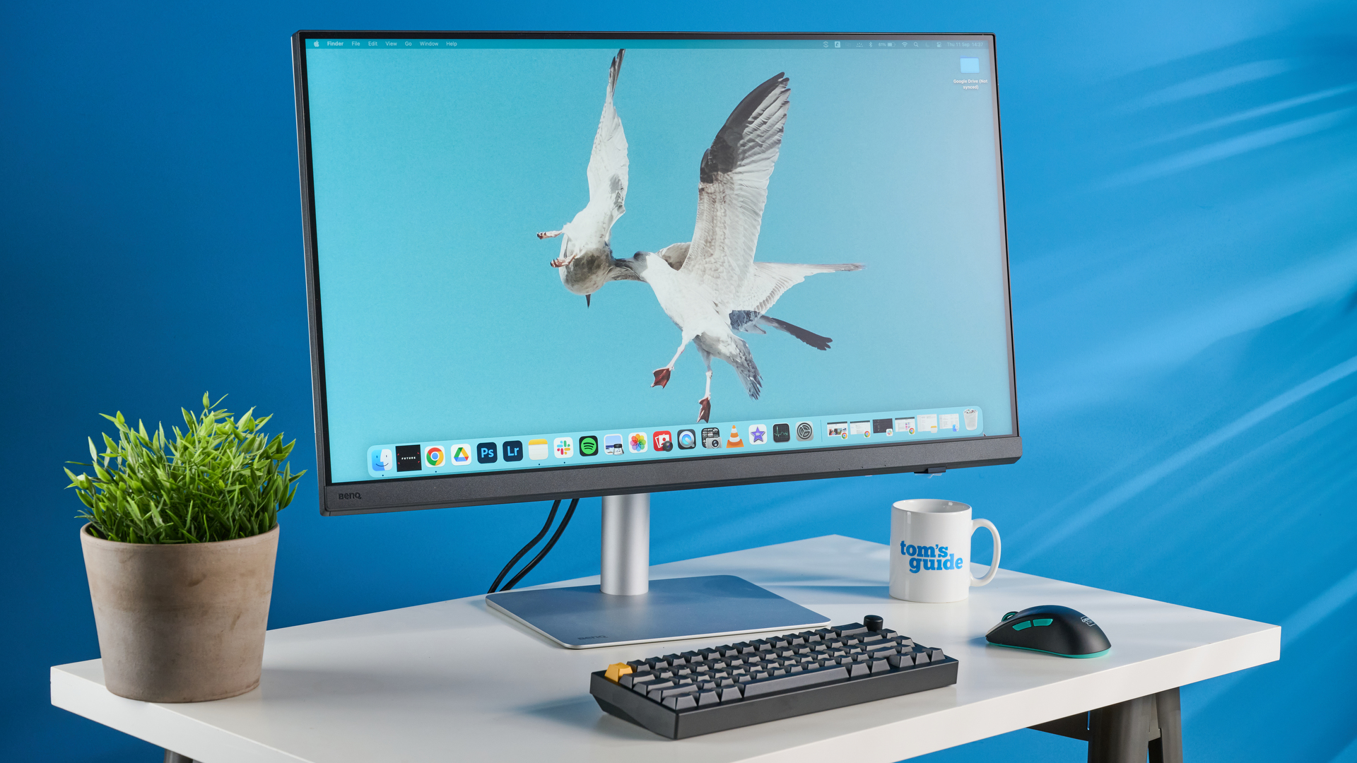 Une photo du moniteur BenQ PD3226G dans un studio aux murs bleus