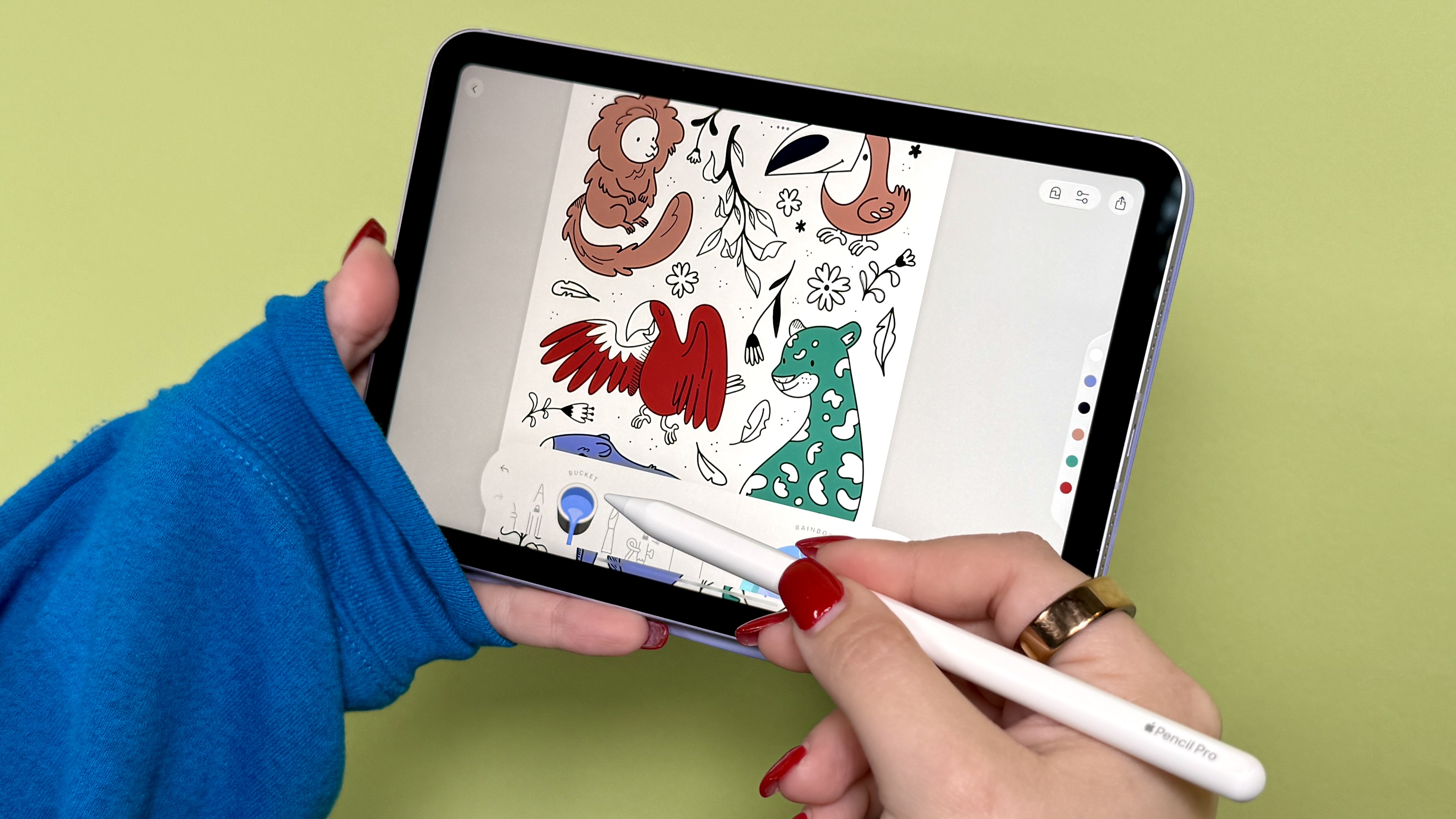 Application de coloriage de lac sur iPad