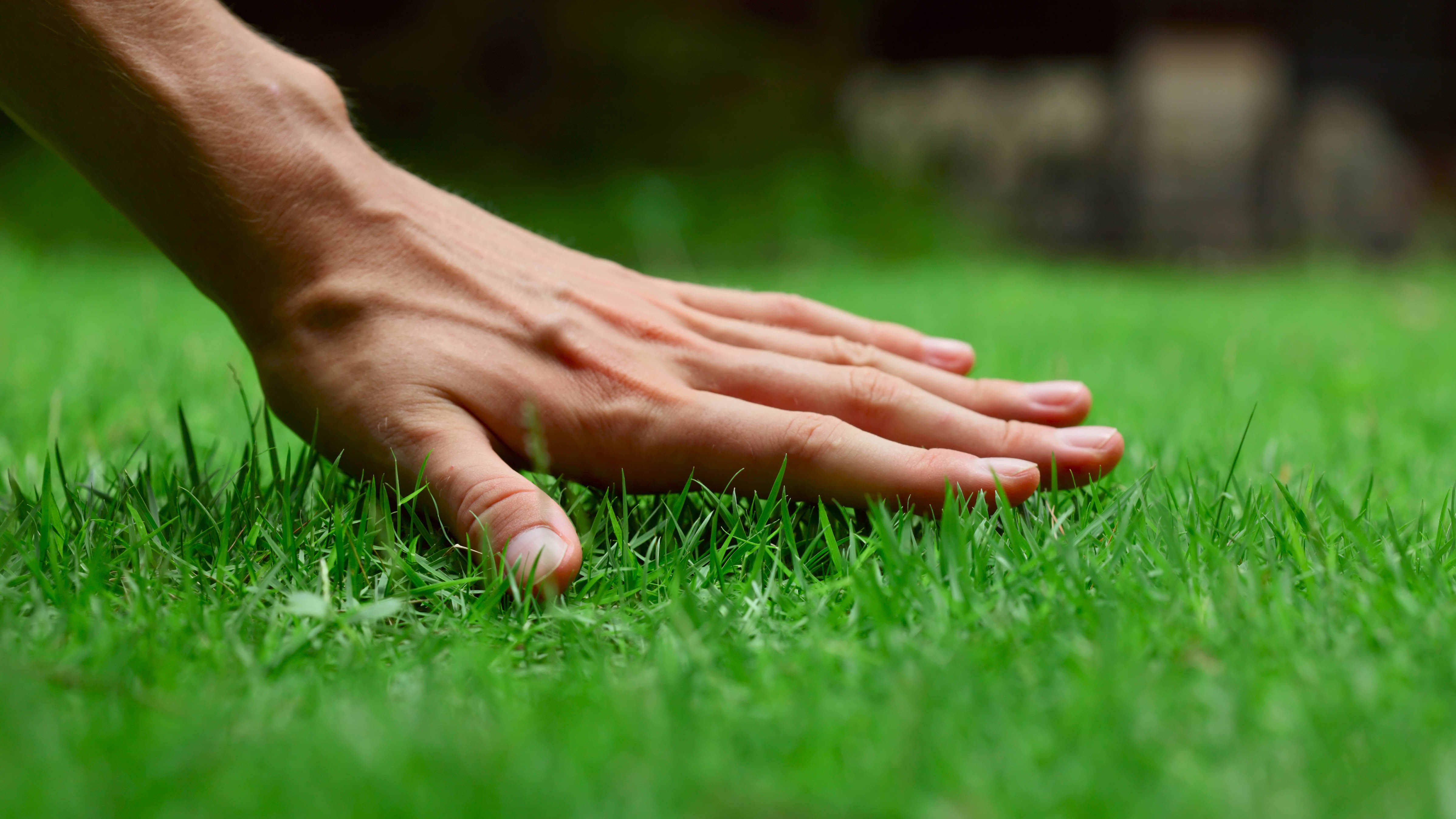 Une main touchant l'herbe dans la cour