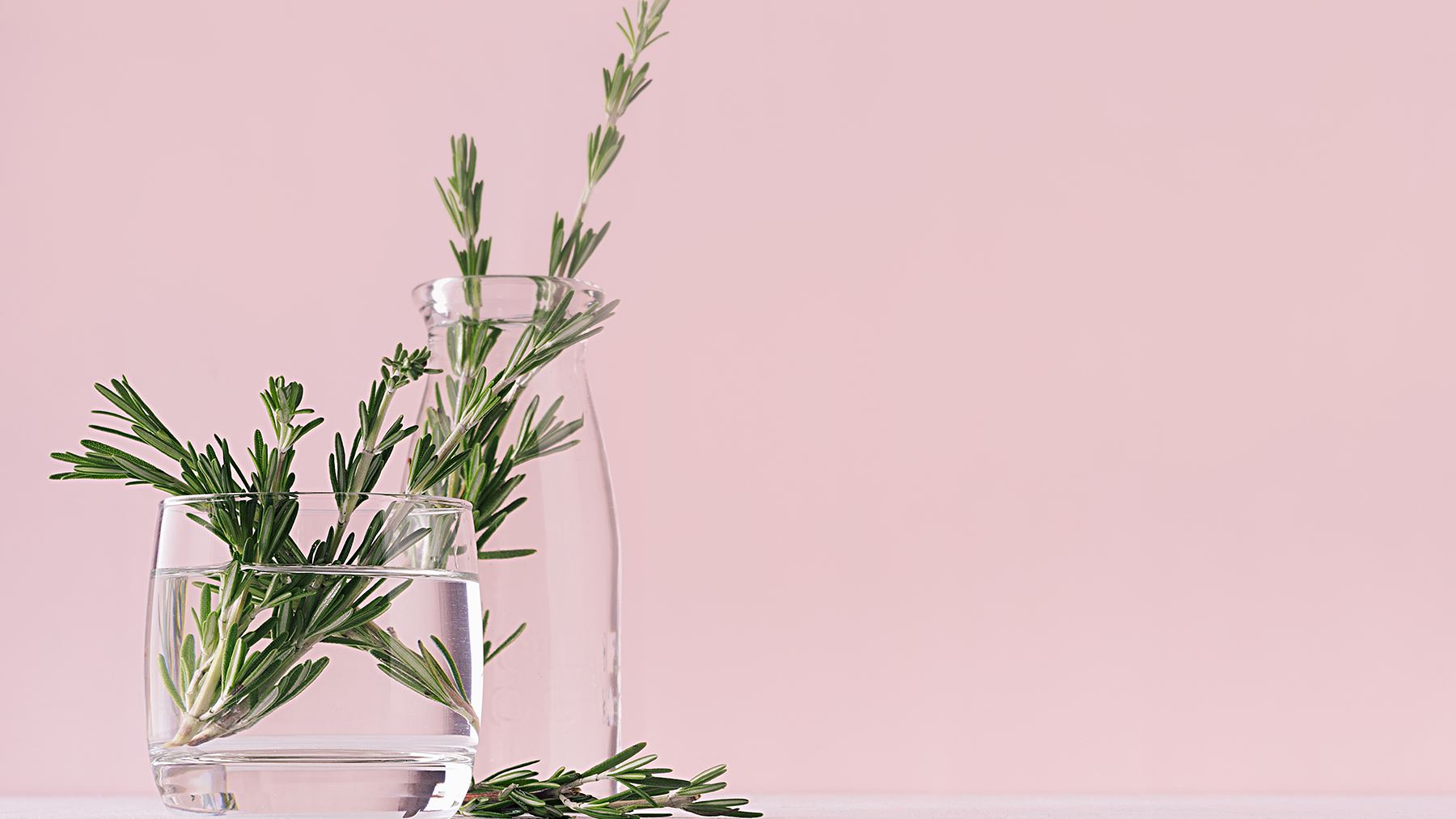 Couper le romarin dans deux vases en verre