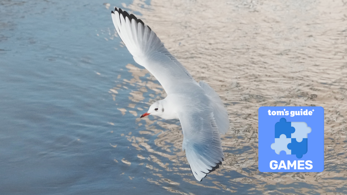 Pour célébrer la Journée mondiale de la photographie, j'ai transformé ma photo de nature préférée en un puzzle virtuel que vous pouvez résoudre maintenant image-37371