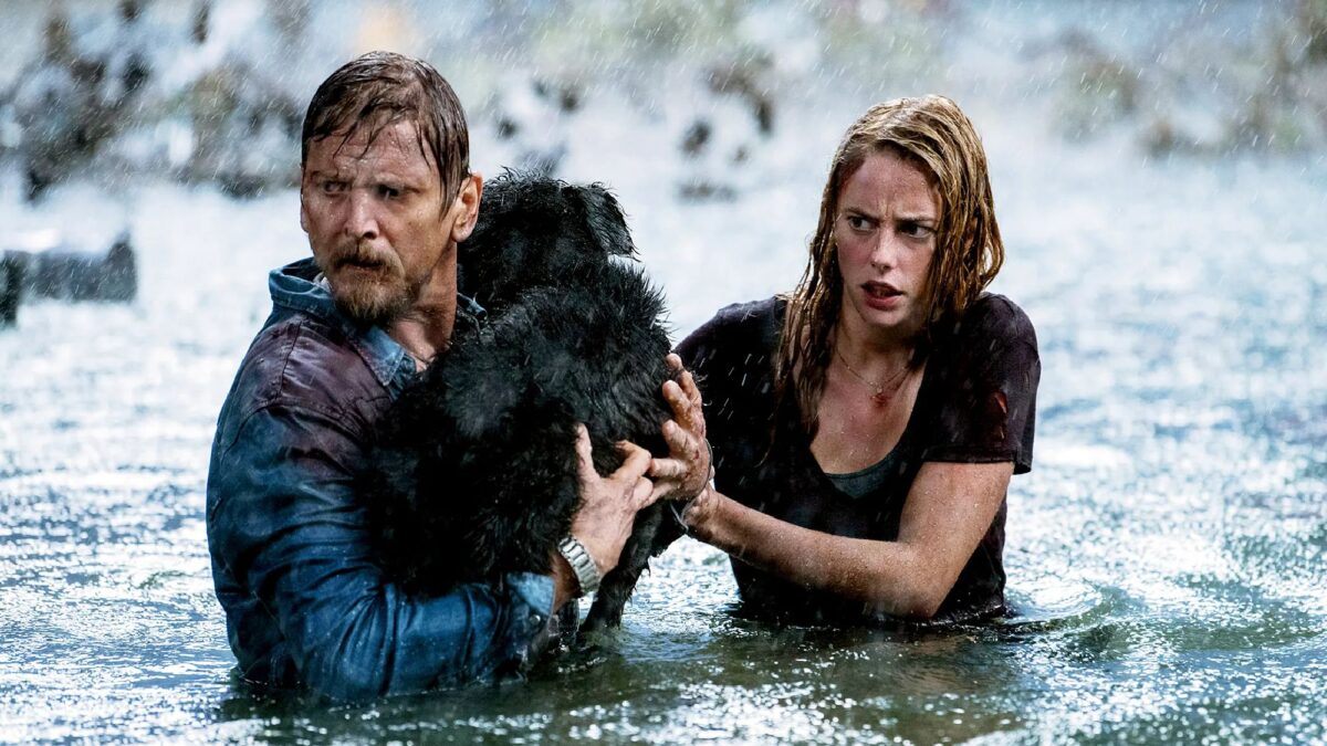 L'un des meilleurs thrillers modernes est diffusé gratuitement sur Kanopy : regardez « Crawl » maintenant avant que la suite n'arrive ici image-37711