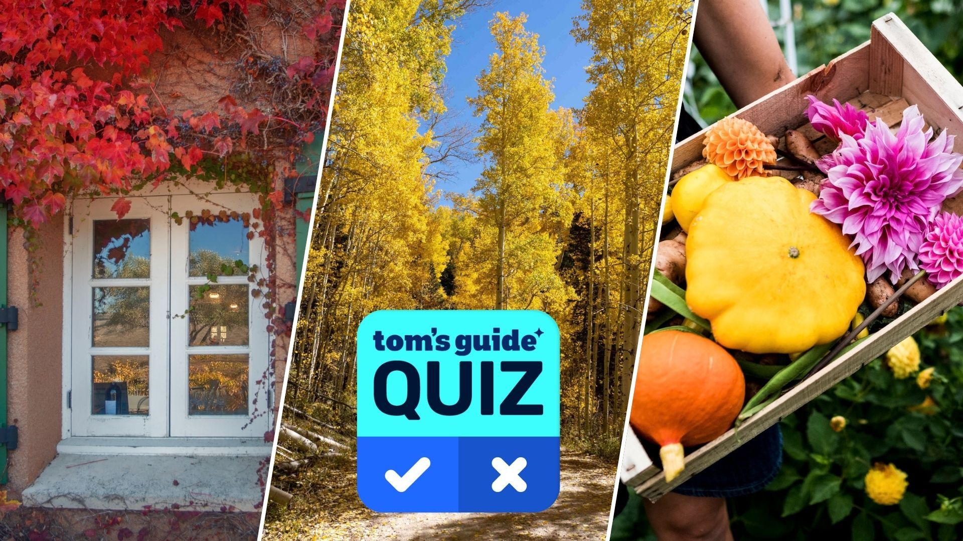 Vous aimez les taches de couleur d’automne ? Testez vos connaissances sur les arbres, les plantes et les fleurs de cette saison dans notre quiz photo image-37795