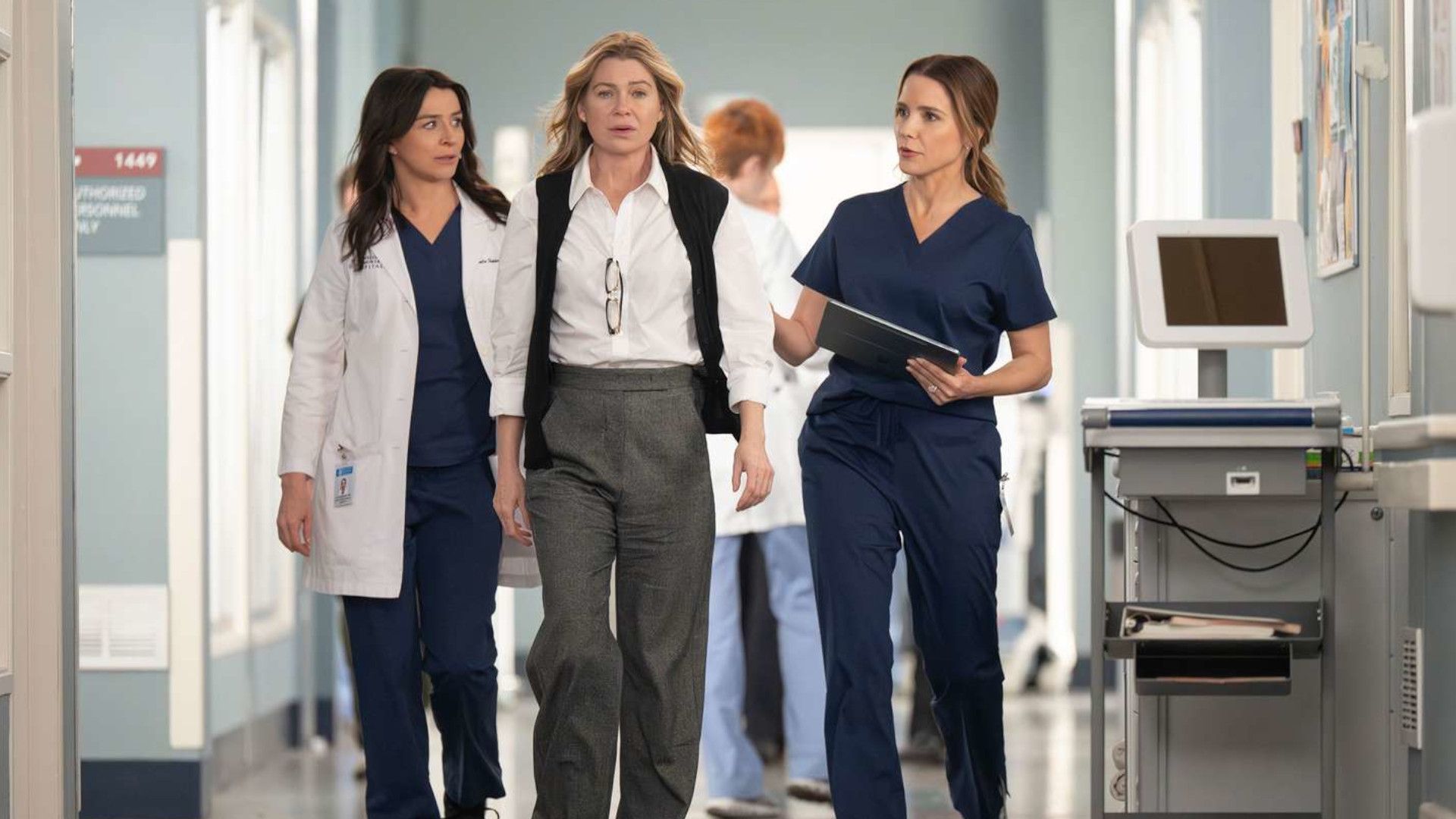 Comment regarder la saison 23 de « Grey's Anatomy » en ligne – diffuser Grey Sloan Hospital de n'importe où, sur quelle chaîne de télévision ? image-37938