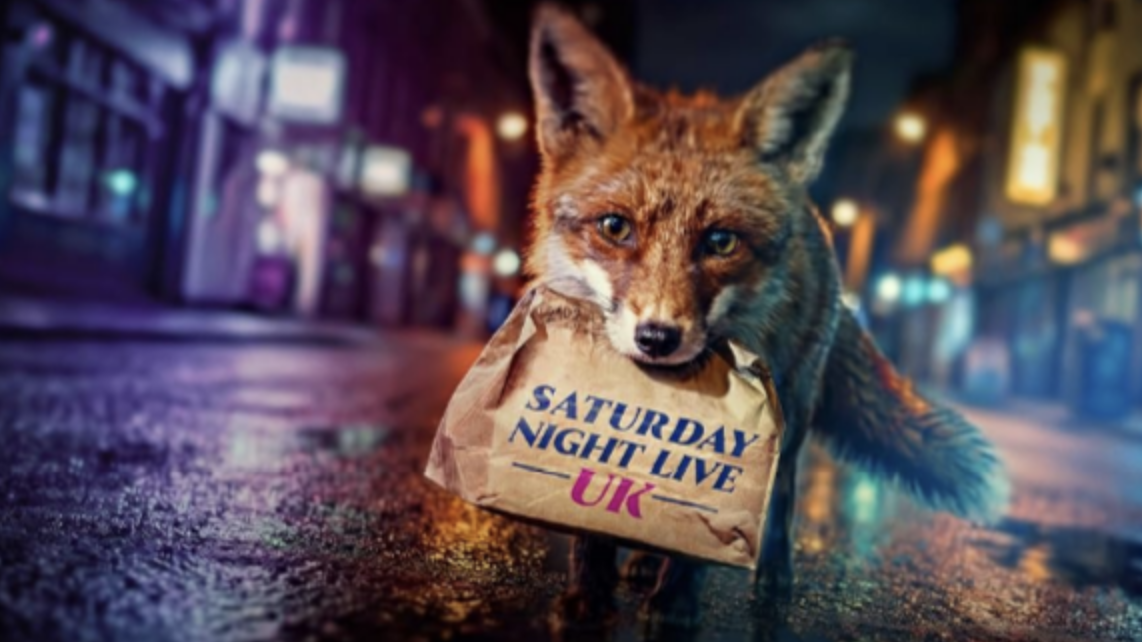 Comment regarder SNL UK de n'importe où image-37920